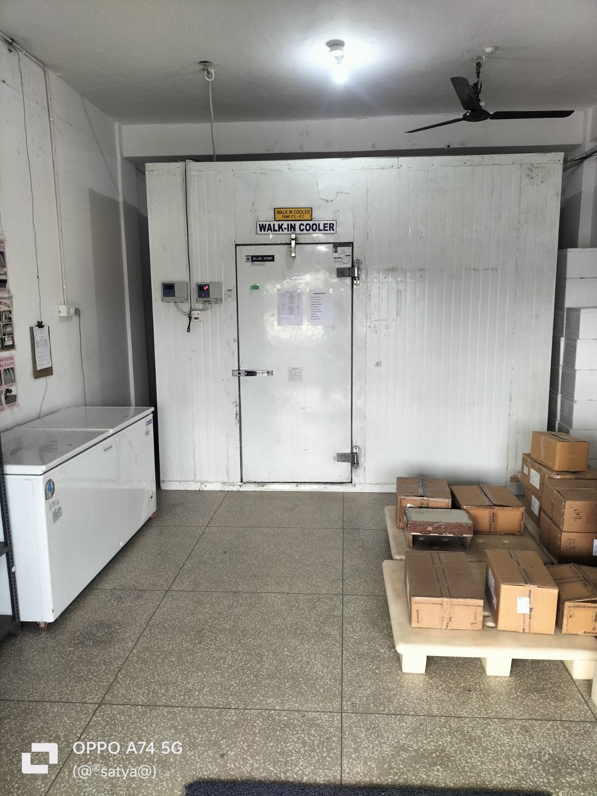 Cold-chain walk-in cooler